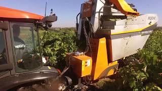 Tow Behind Harvester  GRAPESLINE [upl. by Anayi]