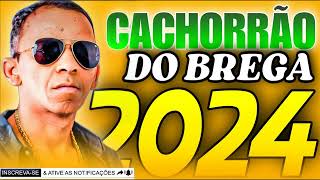 CACHORRÃO DO BREGA 2024 [upl. by Cohn]