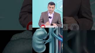 क्रिएटिनिन और किडनी फेलियर में अंतर पहचाने  How Creatinine Levels different from Kidney Failure [upl. by Elletsirhc]