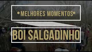 Melhores Momentos Boi Salgadinho [upl. by Frasch697]