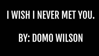 I Wish I Never Met You By Domo Wilson LYRIC VIDEO [upl. by Barram576]