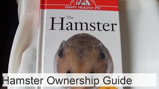 Domestic hamsters What does the future owner need to know about them [upl. by Eednarb507]