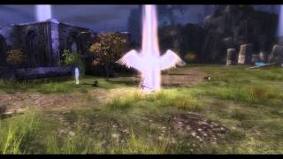 GW2 Permanent Sanctified Finisher [upl. by Ajssatsan]