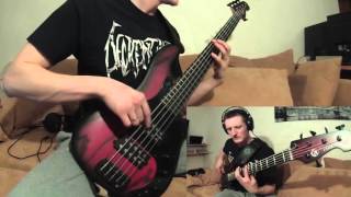 Shattered  Bipolar Disorder bass playthrough [upl. by Hightower]