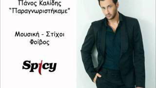 Πάνος Καλίδης  Παραγνωριστήκαμε  Panos kalidis  Paragnoristikame  Official Song Release HQ [upl. by Beitch]