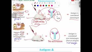 Immunology  Introduction to Immunity  Mutah [upl. by Nhaj]