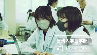 信州大学農学部キャンパスアルバム [upl. by Art]