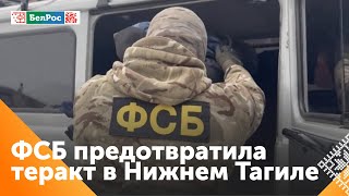 ФСБ предотвратила теракт в Нижнем Тагиле [upl. by Terrie286]