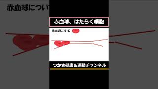 超わかりゃすい臨床検査 赤血球系 運動 健気 はたらく細胞 [upl. by Hubey]