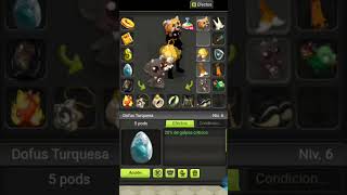 Dofus Touch Set Osamodas lvl 200 Full Inteligencia 2024 [upl. by Nnewg]