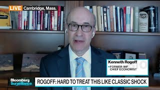 Harvards Rogoff on US Dollar and Crypto Regulation [upl. by Anauqahs]