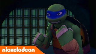 Les Tortues Ninja  Qui ta appris ça  Nickelodeon France [upl. by Ward]