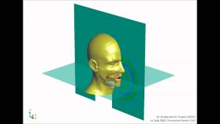 Impulse response vowel a [upl. by Layne]