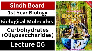 oligosaccharides  carbohydrate  biological molecules  class 11 biology  Sindh board new book [upl. by Llerrac]