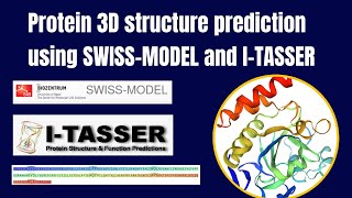 Protein structure 3D prediction using SWISSMODEL and ITASSER  Homology Modeling [upl. by Gotcher]