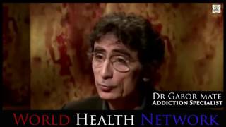 Dr Gabor Mate How Addiction Works [upl. by Earehs227]