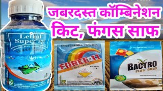 lethal super 505 insecticide  लीथल सुपर कीटनाशक force 11 fungicide becto plus [upl. by Ahsekyw]