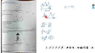 Class 10 Maths I CBSE SQP 202324 I SECTION  A [upl. by Giffie]