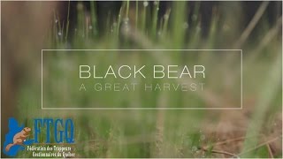 Black bear a great harvest [upl. by Publius]