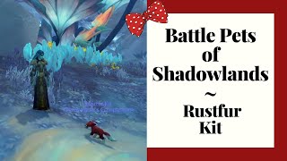 Battle Pets of Shadowlands  Rustfur Kit [upl. by Adahsar]