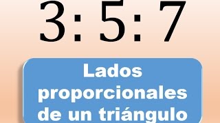 Lados proporcionales de un triangulo  Problema de Ecuaciones [upl. by Beaner]