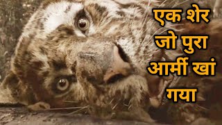 The tiger  an old hunters tale movie explain movie Explained in hindi [upl. by Fesoj]