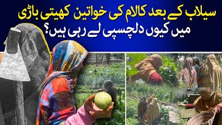 Why Kalam Women Are Taking Interest in Farming After Flood   TaarMedia  TaarMedia [upl. by Schouten766]