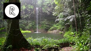 10 Hrs Rainforest amp Rain for Relaxing Nature Sounds for Sleep Meditation Insomnia SPA Study [upl. by Erotavlas618]