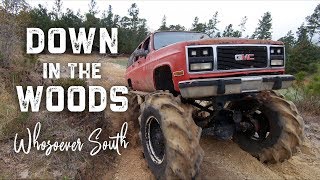 Whosoever South  Down in the Woods 4x4 challenge [upl. by Nilyram302]