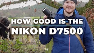 Is the Nikon D7500 a Good Camera [upl. by Caitlin]