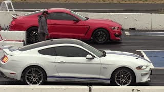 2018 Mustang GT vs Shelby GT350  14 mile drag race [upl. by Ireva952]