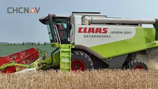 CHCNAV NX510 CLASS LEXION 麦刈り [upl. by Nichola]