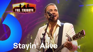 Stayin Alive  Bee Gees Forever  The Tribute [upl. by Micky]