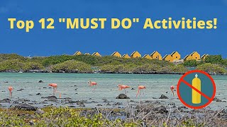 Top 12 quotMUST DOquot Activities on Bonaire  Other Than Scuba Diving [upl. by Irmo]