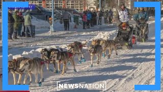 Man makes history winning Iditarod race six times  Morning in America [upl. by Marilou889]