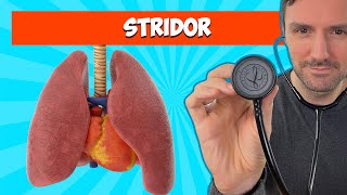 Stridor Lung Sounds For Beginners 🔥🔥🔥 lungsounds [upl. by Sarita]