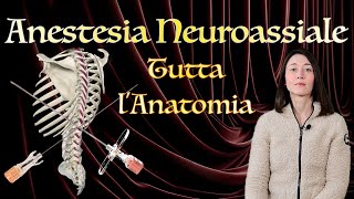 Anestesia Neuroassiale Tutta lAnatomia [upl. by Trescott66]