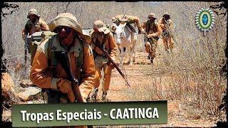 Tropas Especiais do Exército Brasileiro  Caatinga [upl. by Ashling]