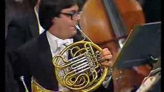 Tchaikovskys 5th Symphony Horn Solo [upl. by Lesley30]