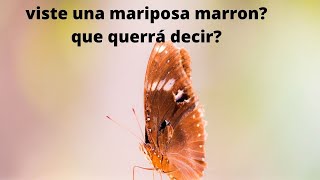 Que significa ver una mariposa marrón Significado de las señales [upl. by Lajib]