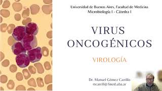 Seminario 16 Virus Oncogénicos  Virología 2022 Micro 1 Cat 1 [upl. by Reseta]