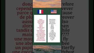 Quiz learning fun anglaisfacile anglaisvsfrancaisapprendresuryoutube [upl. by Chapel]