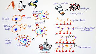 Allergy Diagnostics and Phadia 250 [upl. by Muller]