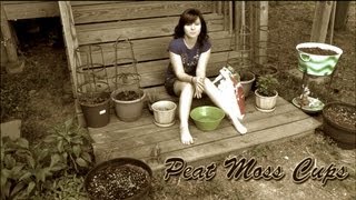 Planting Peat Moss Cups [upl. by Ellemaj]