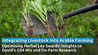 Optimising Herbal Ley Swards Insights to Davids GS4 Mix and OnFarm Research [upl. by Yzeerb]