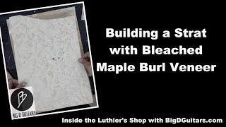 Building a Stratocaster with a bleached Maple Burl Veneer [upl. by Akiemaj259]