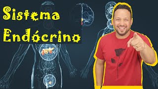 Sistema Endócrino  Conceito Função e Componentes  Hormônios  Fisiologia Humana  Aula 1 [upl. by Wycoff]