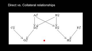 Direct vs Collateral relationships [upl. by Kciredec]