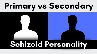 Understanding The Primary vs Secondary Schizoid  Introduction [upl. by Afra]