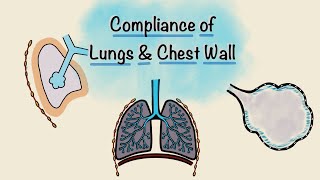 Lung and Chest wall Compliance  Breathing Mechanics  Respiratory Physiology [upl. by Ahseer211]